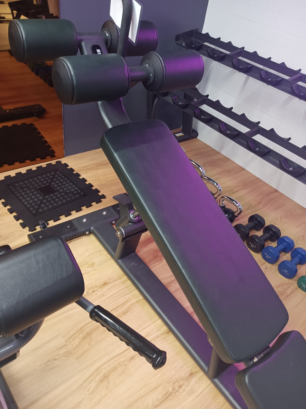 Adjustable Abdominal Bench (SF-PRO1-AB)