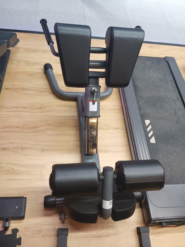 Back Extension (SF-PRO1-BE)