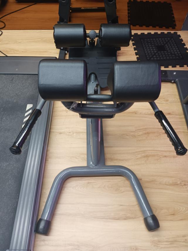 Back Extension (SF-PRO1-BE)