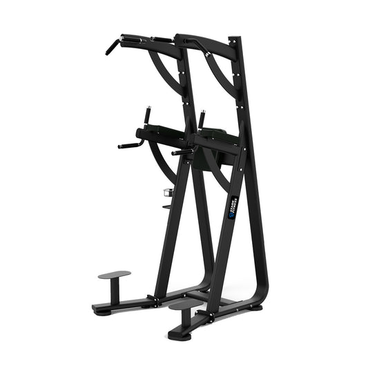 Chin Dip Leg Raise (SF-PRO1-CDLR)