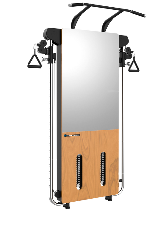 Wall Mounted Trainer (SF-HOME-WMT)