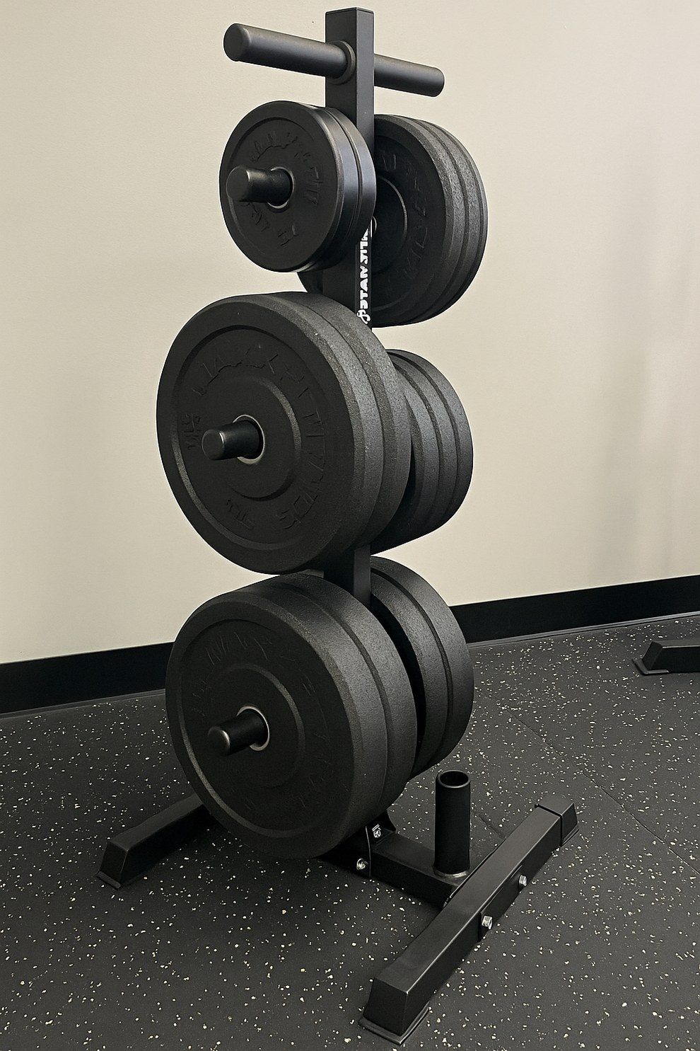 PLATE RACK (SF-PLATE RACK) – Stark Fitness