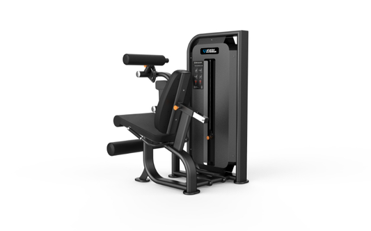 Leg Curl/Leg Extension