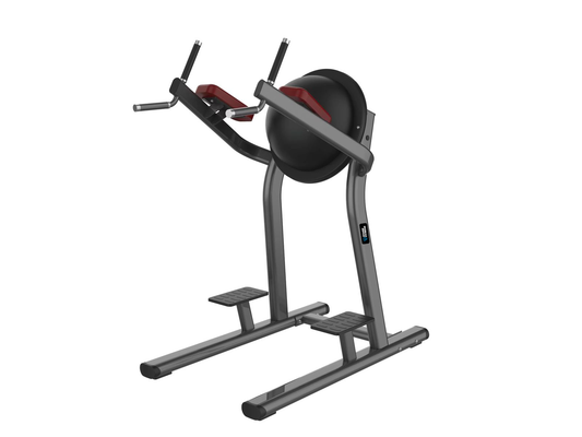 Leg Raise (SF-PRO2-SLR)