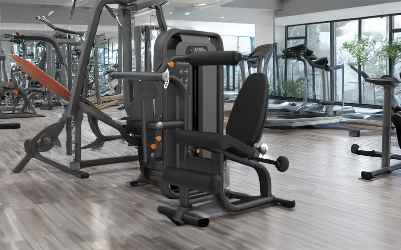 Leg Curl/Leg Extension