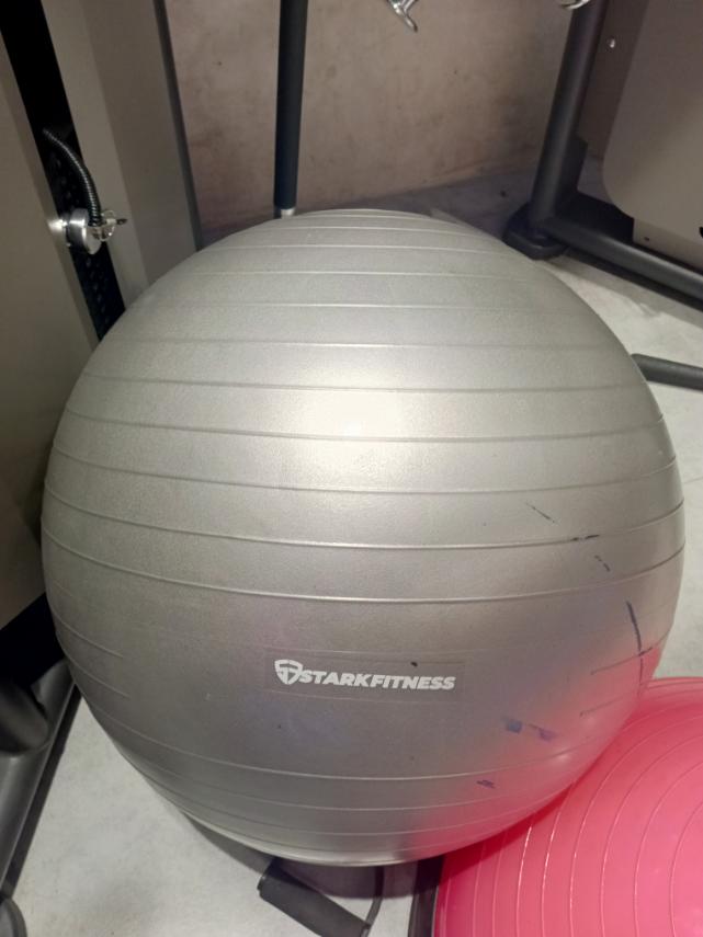 Gym/Yoga Ball