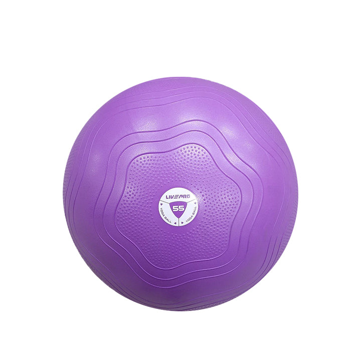 Stark Fitness Gym Ball | www.starkfitness.com.ph