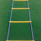 Speedstep Ladder